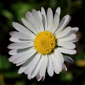 Makro und Kleines